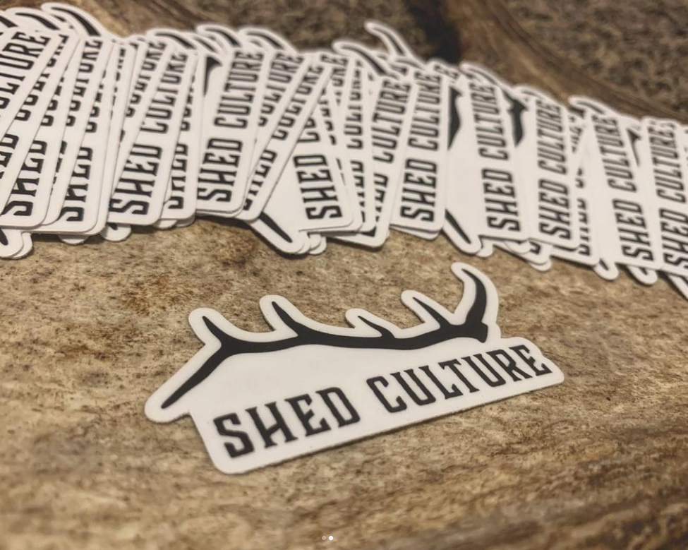 Shed Culture