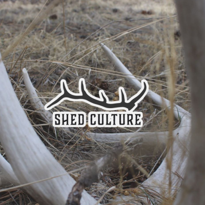 Shed Culture Logo and Stickers