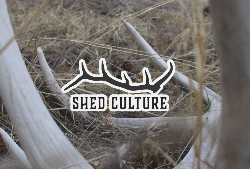 Shed Culture Logo and Stickers