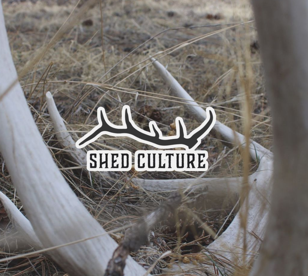 Shed Culture Logo and Stickers