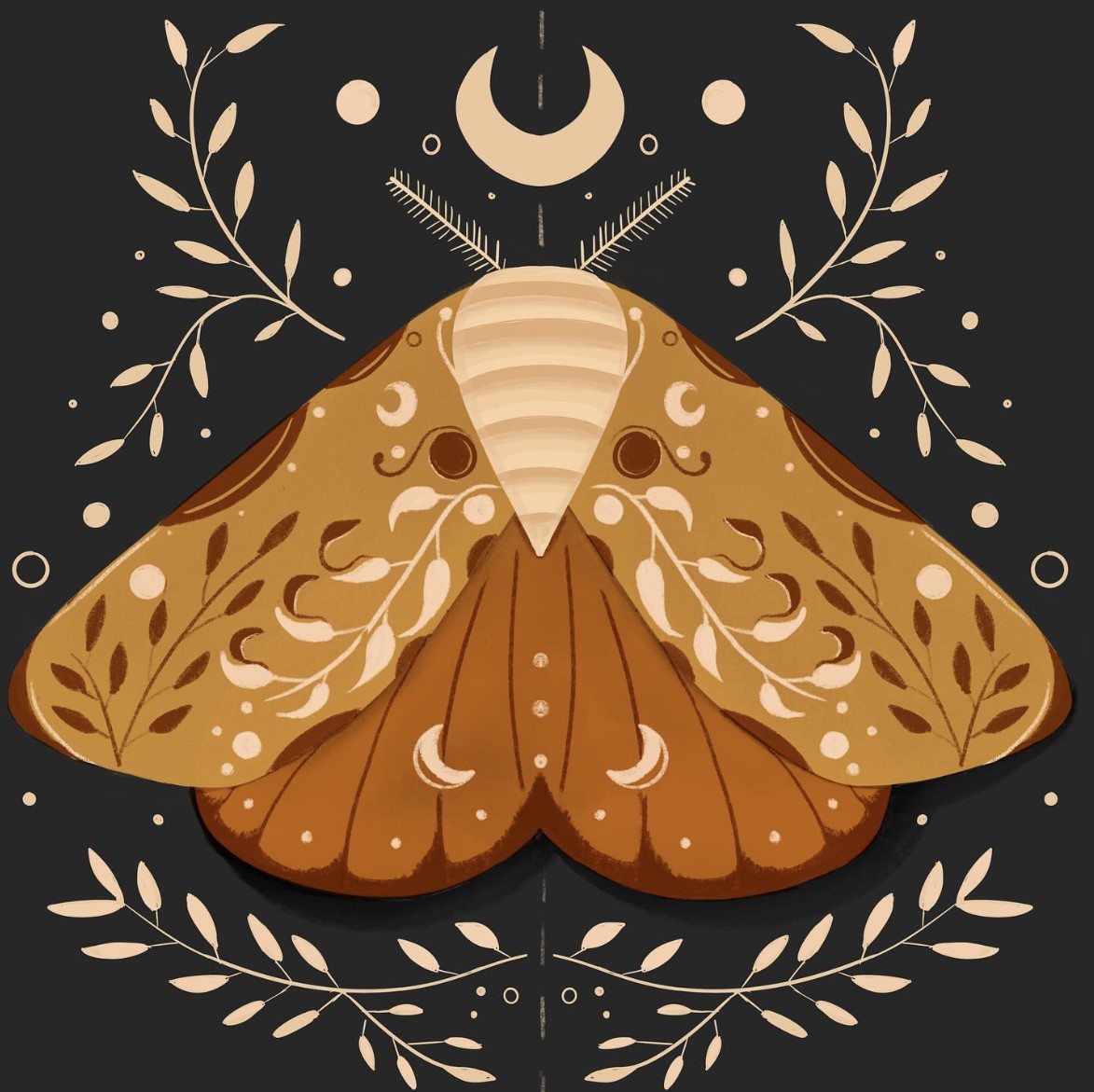 Digital Drawing: Moth